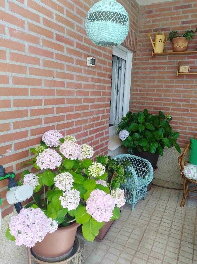 Apartamento Principe Caceres Exterior photo