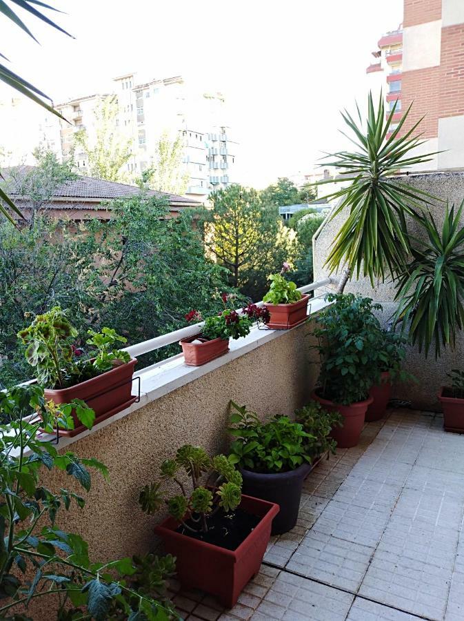 Apartamento Turistico Principe Caceres At-Cc-00415 Exterior photo