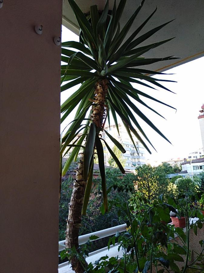 Apartamento Principe Caceres Exterior photo